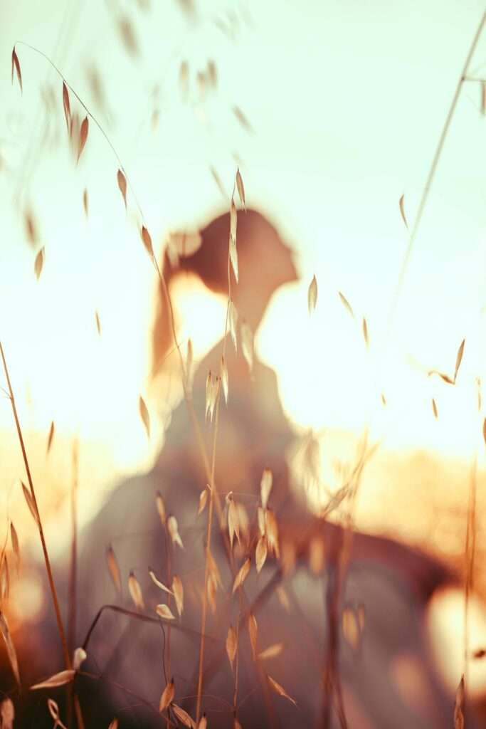 Personne en réflexion dans un champ au coucher du soleil, profil HPI