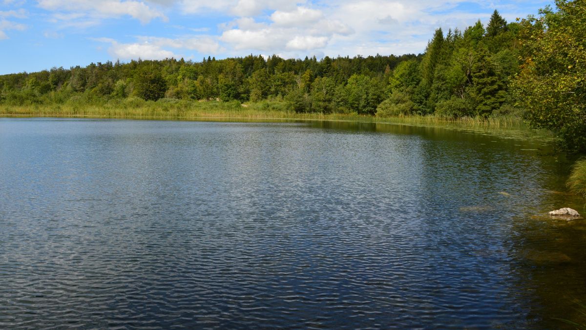Hypnothérapie proche de Nort-sur-Erdre